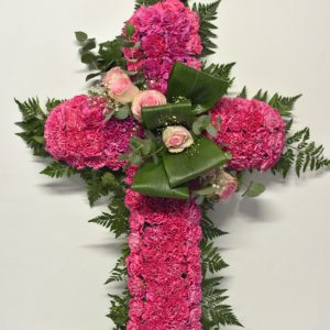 Ref 002 -  160€